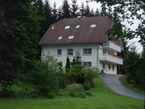 Ferienhaus Hubertus in Elend mit Balkons